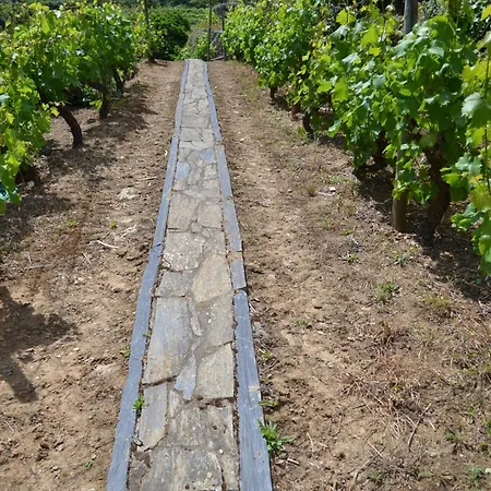 Quinta Do Santo No Douro - Casa T2 Casa de Férias Alcarias (Baiao)