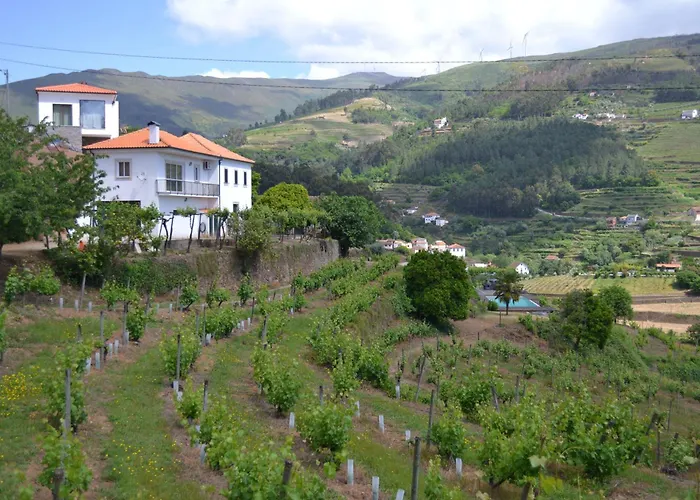 Quinta Do Santo No Douro - Casa T2 펜션 Alcarias (Baiao)