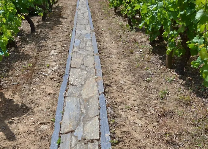 Quinta Do Santo No Douro - Casa T2 Semesterbostad Alcarias (Baiao)